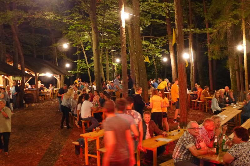 P1040581.jpg