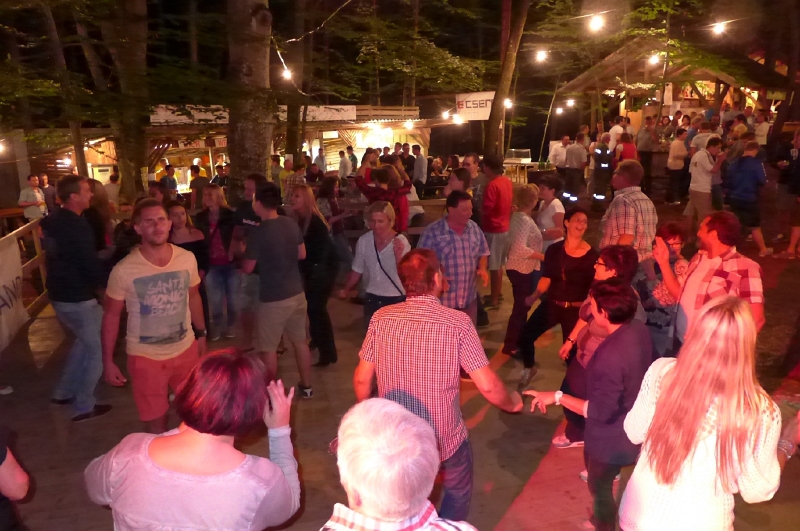 P1040636.jpg